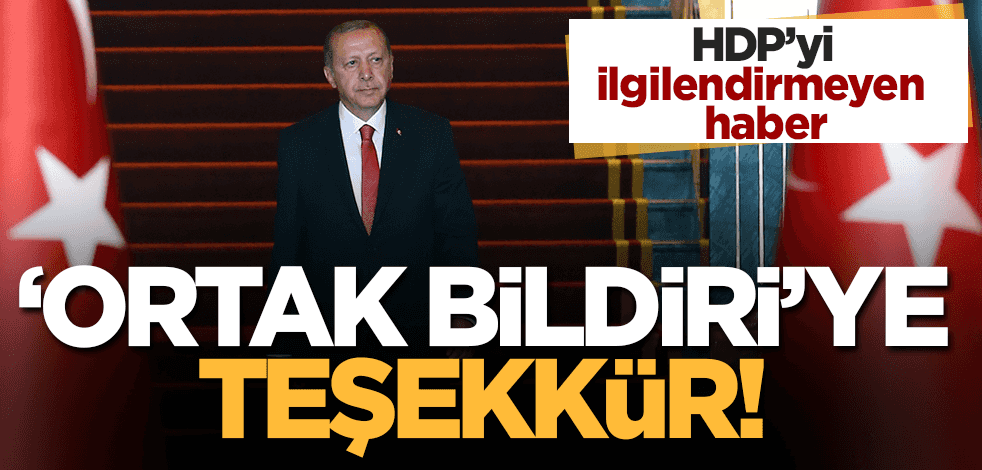 Erdoğan'dan Azerbaycan 'ortak bildirisi'ne teşekkür