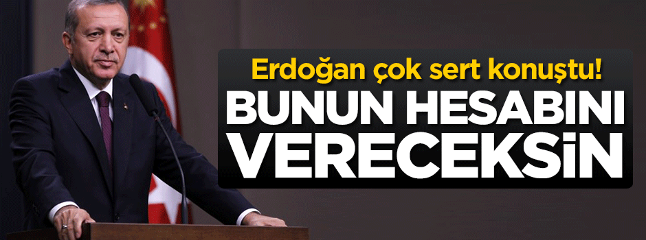 Erdoğan'dan çok sert açıklama: Hesabını vereceksein