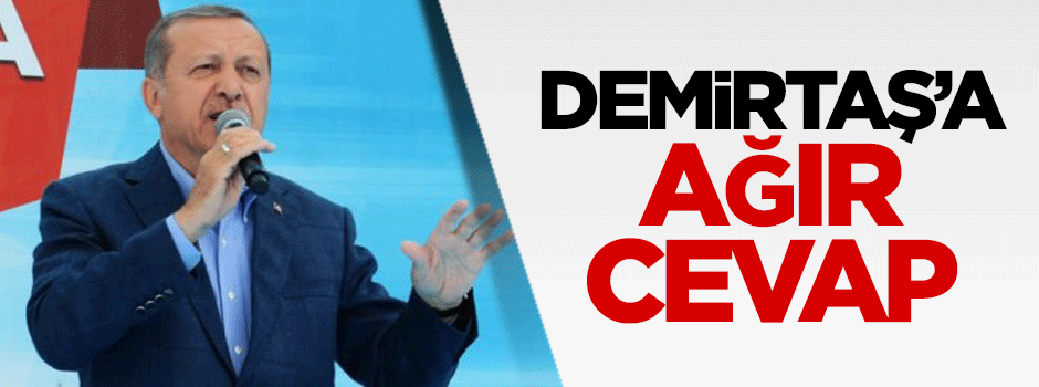 Erdoğan'dan Demirtaş'a ağır cevap