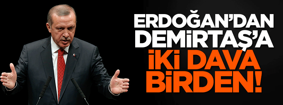 Erdoğan'dan Demirtaş'a iki dava birden