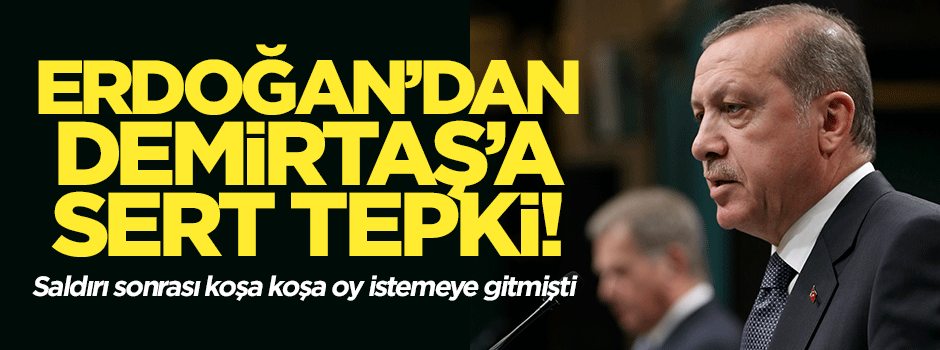 Erdoğan'dan Demirtaş'a sert tepki!