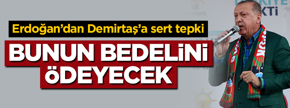 Erdoğan'dan Demirtaş'a sert tepki: Bunun bedelini ödeyecek