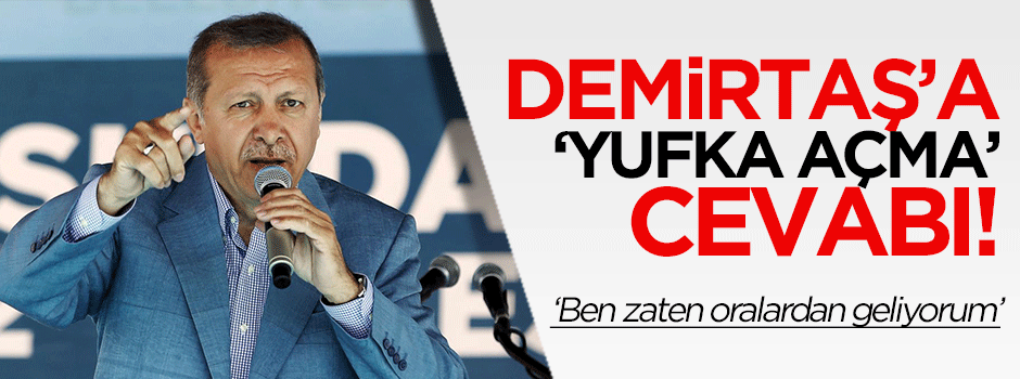 Erdoğan'dan Demirtaş'a 'yufka açma' cevabı