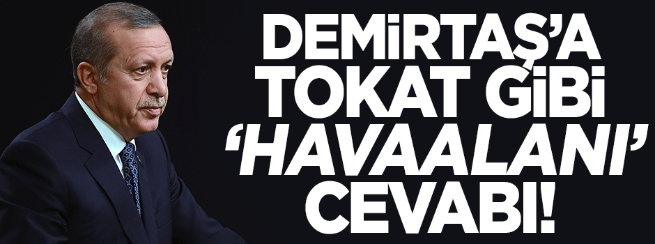 Erdoğan'dan Demirtaş'ın o sözlerine cevap