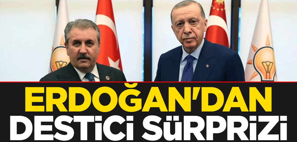 Erdoğan'dan Destici sürprizi
