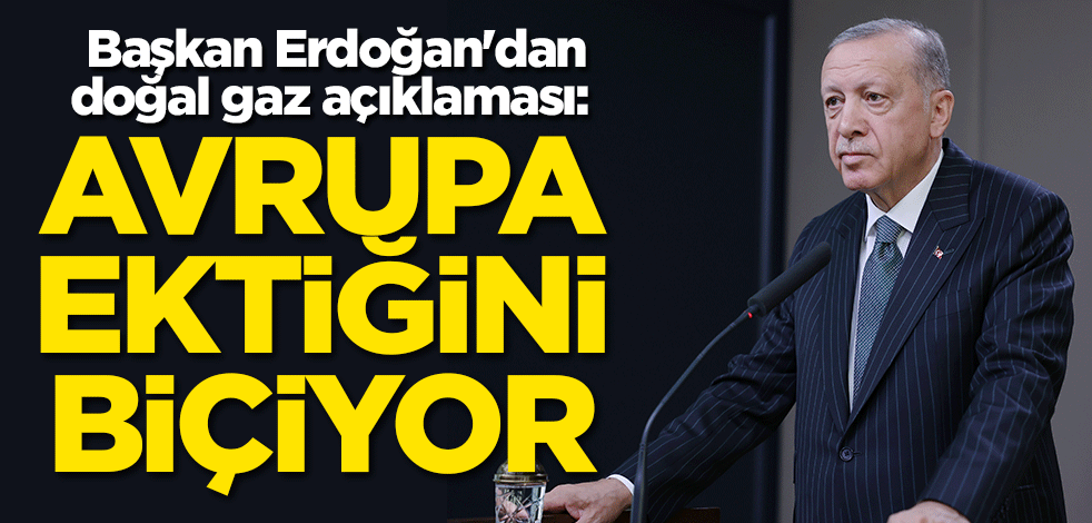 Erdoğan'dan doğal gaz açıklaması: Avrupa ektiğini biçiyor
