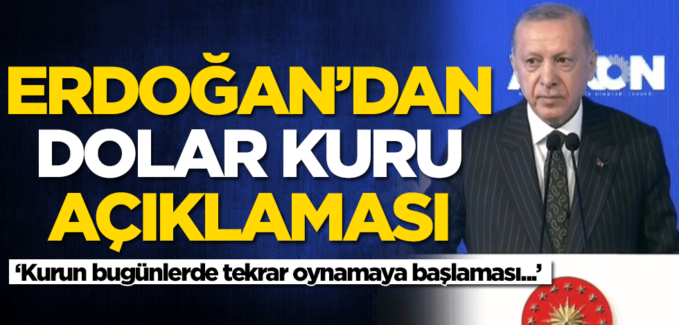 Erdoğan'dan dolar açıklaması: Kurun bugünlerde tekrar oynamaya başlaması...