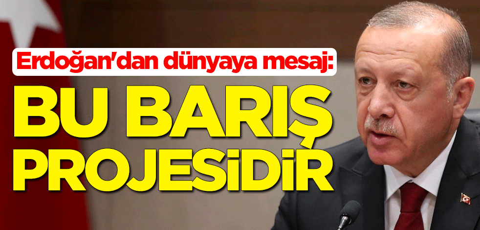 Erdoğan'dan dünyaya TANAP mesajı: Bölgesel barış projesidir