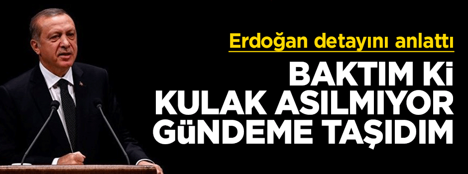 Erdoğan'dan eleştiri: Baktım ki kulak asılmıyor, gündeme taşıdım