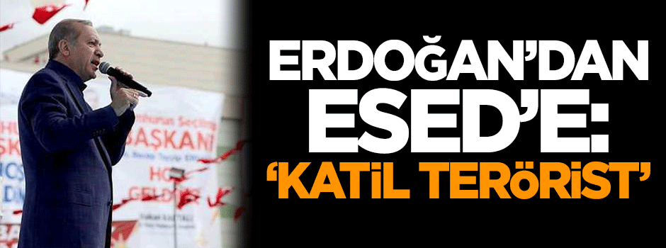 Erdoğan'dan Esed'e: Katil terörist