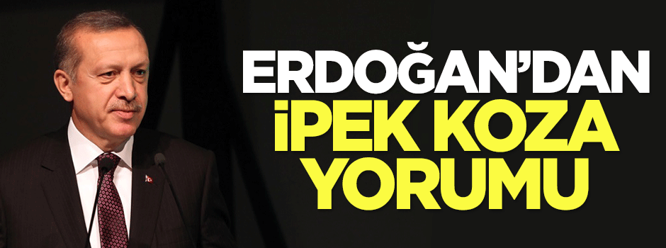 Erdoğan'dan 'İpek Koza' yorumu