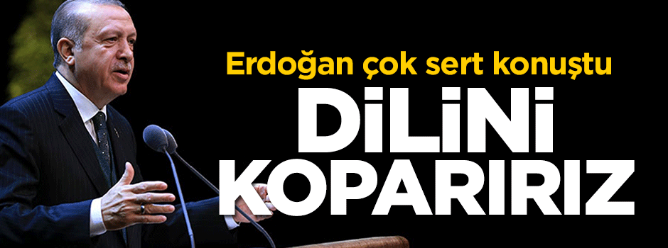 Cumhurbaşkanı Erdoğan: Dilini koparırız