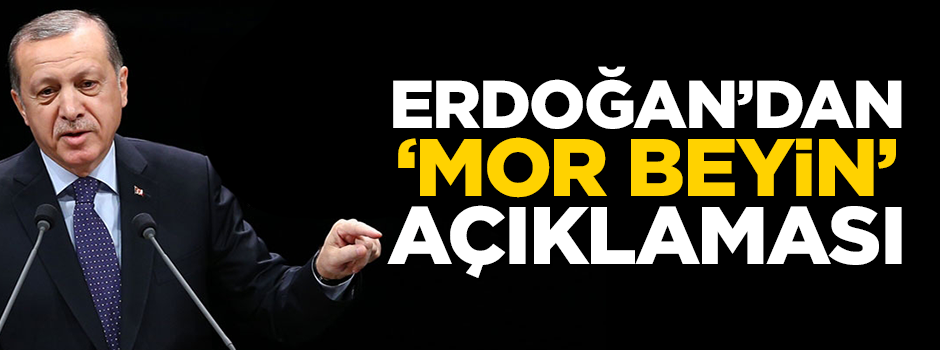 Erdoğan'dan Mor Beyin açıklaması