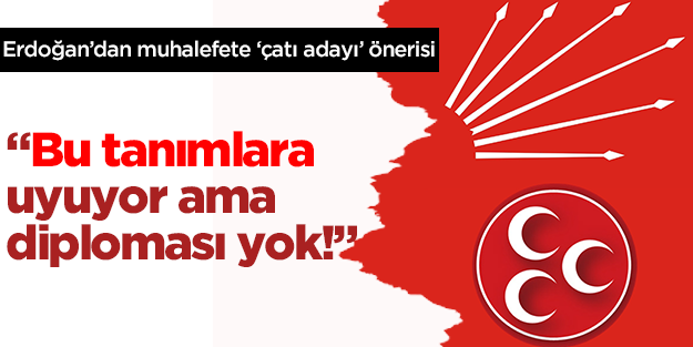 Erdoğan'dan muhalefete 'çatı adayı' önerisi