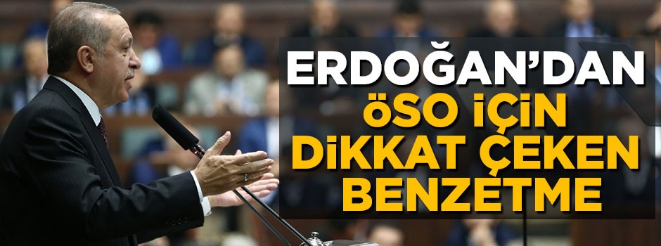 Erdoğan'dan ÖSO için dikkat çeken benzetme