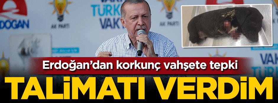 Erdoğan'dan patileri kesilen köpek mesajı