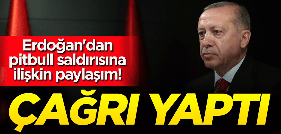 Erdoğan'dan pitbull saldırısına ilişkin paylaşım! Çağrı yaptı