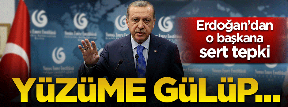 Erdoğan'dan Schultz'a sert tepki