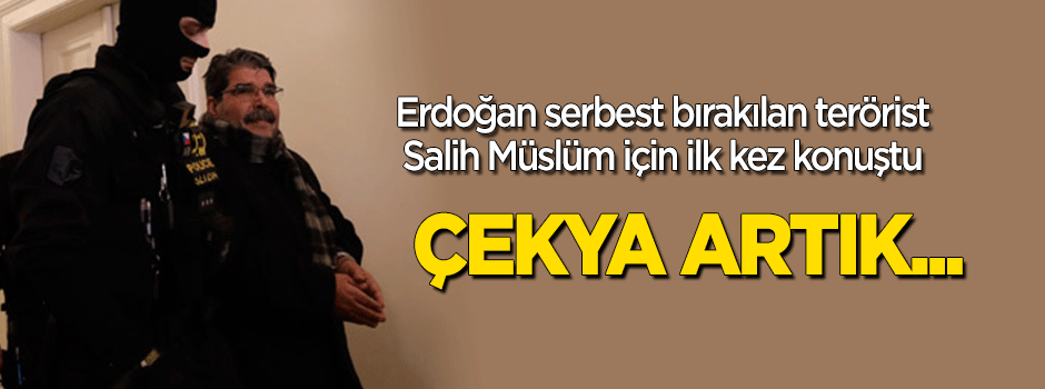 Erdoğan serbest bırakılan Salih Müslüm için ilk kez konuştu: Bunun izahı olamaz!