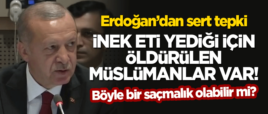 Erdoğan'dan sert tepki: Böyle saçmalık olabilir mi? İnek eti yediği için öldürülen Müslümanlar var!