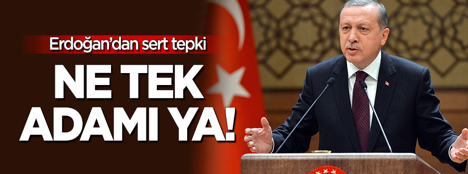 Erdoğan'dan sert tepki: Ne tek adamı ya!