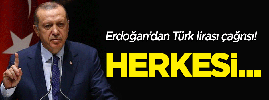Erdoğan'dan Türk lirası çağrısı: Tüm vatandaşlarımızı...