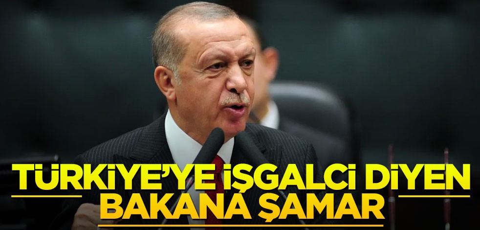 Erdoğan’dan "Türkler işgalci" diyen bakana tokat gibi cevap: Densiz!