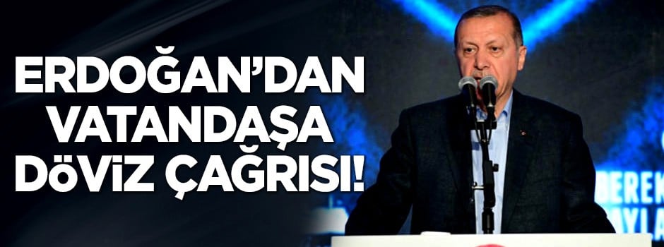 Erdoğan'dan vatandaşa 'döviz' çağrısı