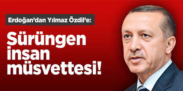 Erdoğan'dan Yılmaz Özdil'e: Sürüngen insan müsvettesi!