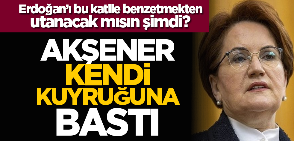 Erdoğan’ı bu katile benzetmekten utanacak mısın şimdi? Meral Akşener kendi kuyruğuna bastı