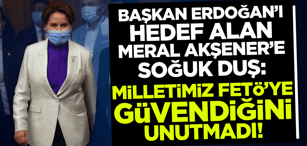 Erdoğan'ı hedef alan Meral Akşener'e tepki: Milletimiz FETÖ'ye güvendiğinizi unutmadı!