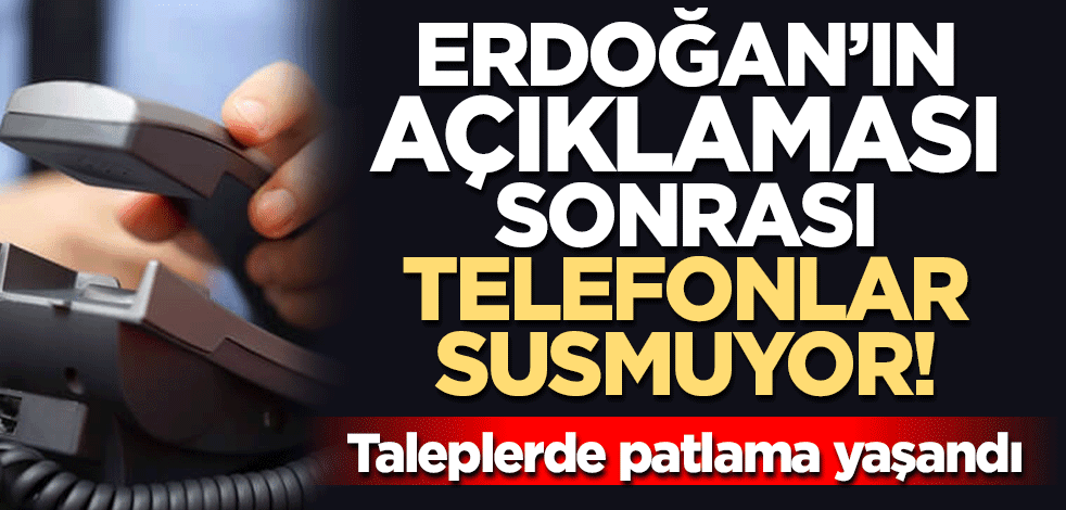Erdoğan'ın açıklaması sonrası telefonlar susmuyor! Taleplerde patlama yaşandı