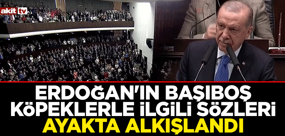 Erdoğan'ın başıboş köpeklerle ilgili sözleri ayakta alkışlandı