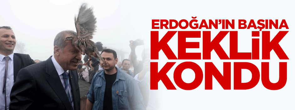 Erdoğan'ın başına keklik kondu