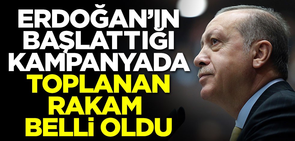Erdoğan'ın başlattığı kampanyada toplanan rakam belli oldu
