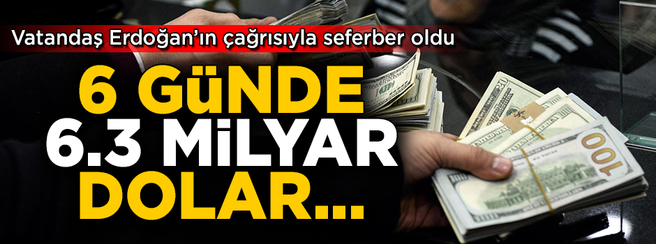 Erdoğan'ın çağrısıyla vatandaş seferber oldu! 6.3 milyar dolar TL'ye döndü