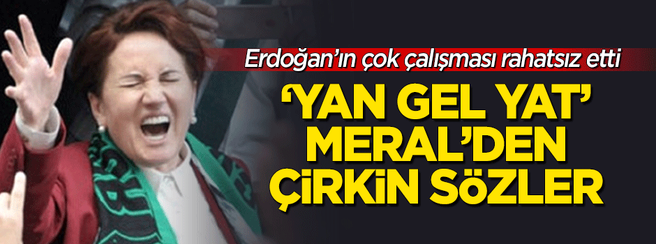 Erdoğan'ın çok çalışmasından rahatsız olan Akşener'den çirkin sözler!