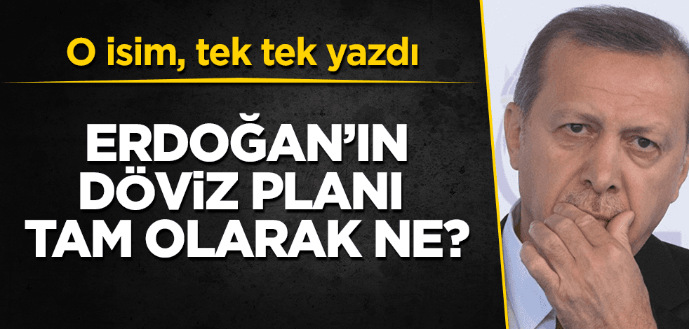 Erdoğan'ın dövizle ilgili planı tam olarak ne?