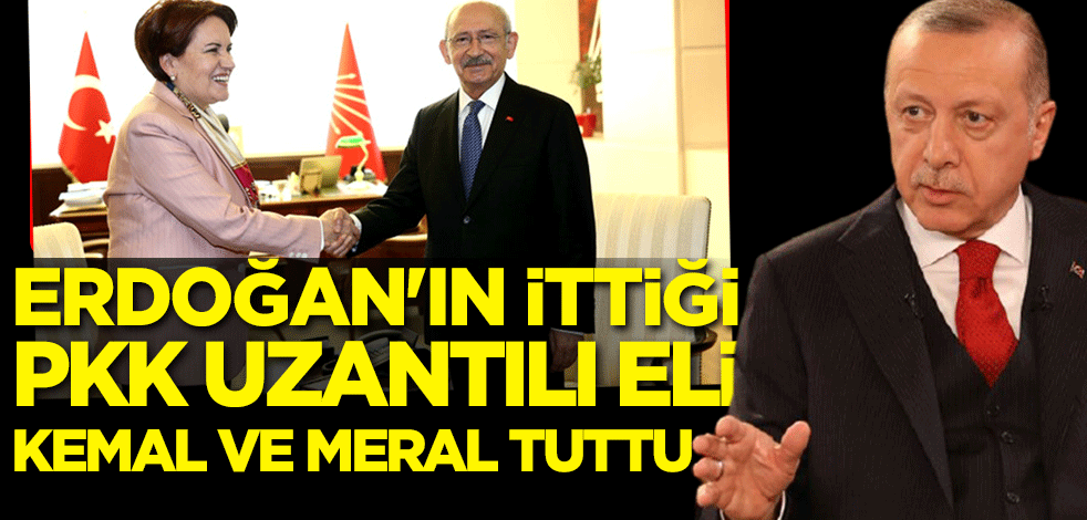 Erdoğan'ın ittiği PKK uzantılı eli Kemal ve Meral tuttu