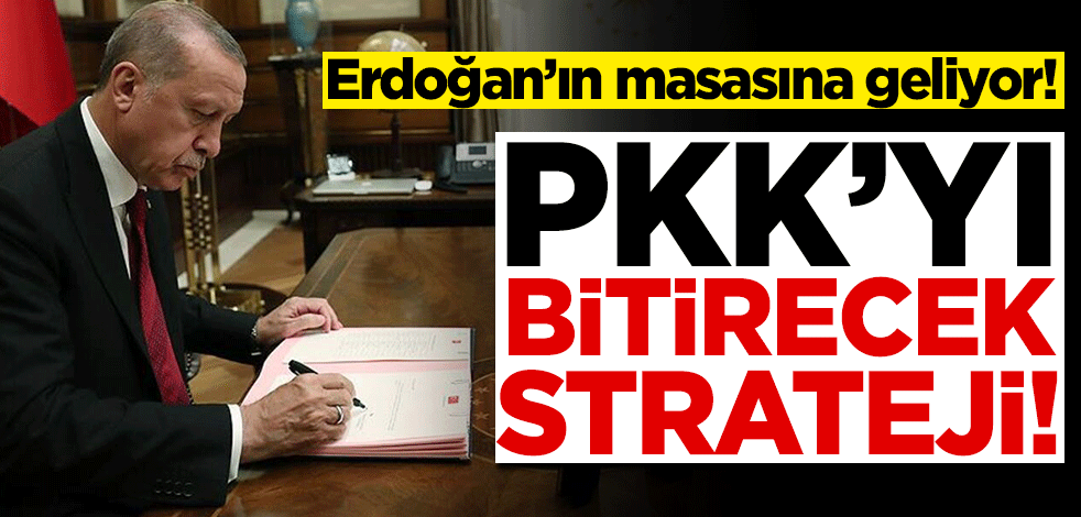 Erdoğan'ın masasına geliyor! PKK'yı bitirecek strateji