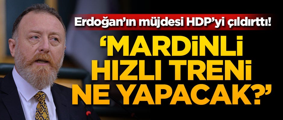 Erdoğan'ın müjdesi HDP'yi çıldırttı!