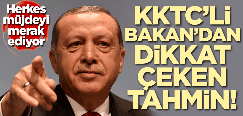 Erdoğan'ın müjdesi öncesi dikkat çeken tahmin