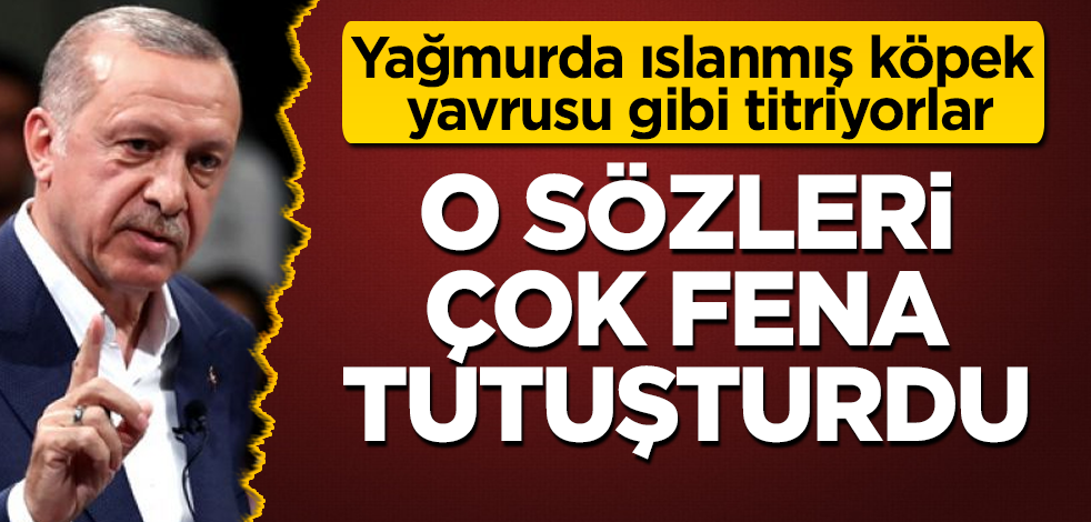 Erdoğan'ın o sözleri çok fena tutuşturdu! Yağmurda ıslanmış köpek yavrusu gibi titriyorlar