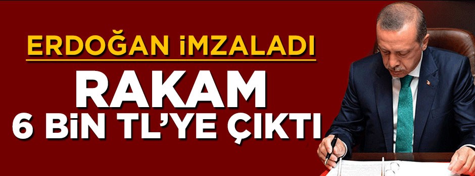 Cumhurbaşkanı Erdoğan'ın onayladığı kanun yürürlüğe girdi