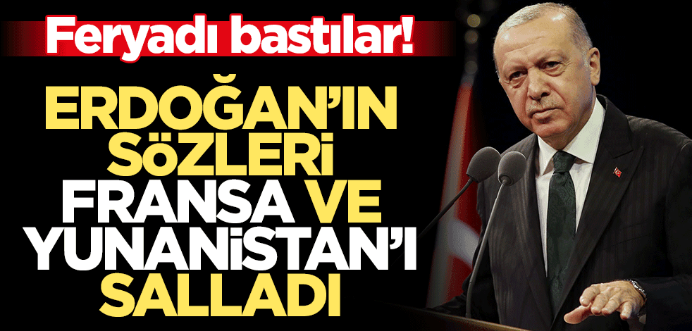 Erdoğan'ın sözleri Fransa'yı salladı! Feryadı bastılar