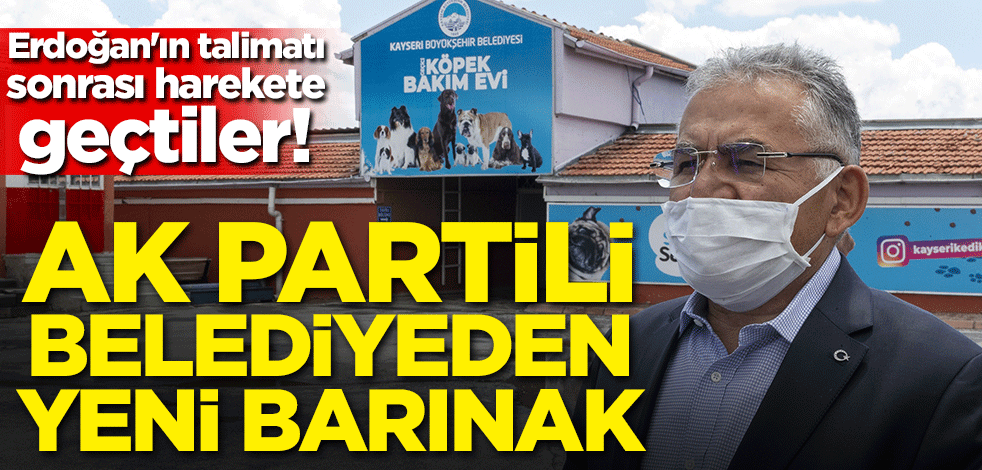 Erdoğan'ın talimatı sonrası harekete geçtiler! AK Partili belediyeden 17 bin metrekarelik yeni barınak