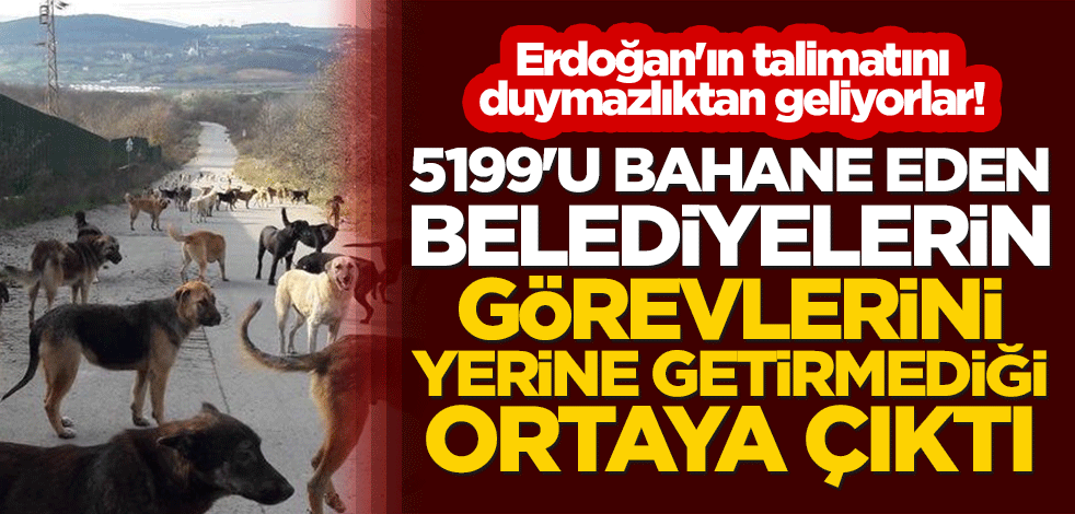 Erdoğan'ın talimatını duymazlıktan geliyorlar! 5199'u bahane eden belediyelerin görevlerini yerine getirmediği ortaya çıktı