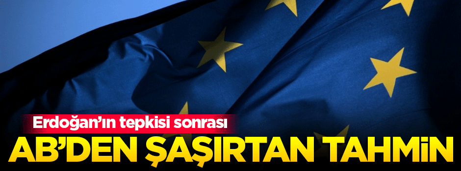 Erdoğan'ın tepkisi sonrası AB'den şaşırtan tahmin