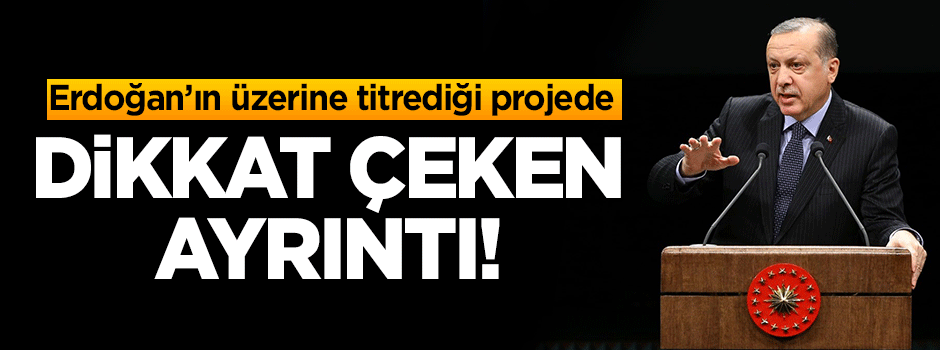 Erdoğan'ın üzerine titrediği projede dikkat çeken ayrıntı!