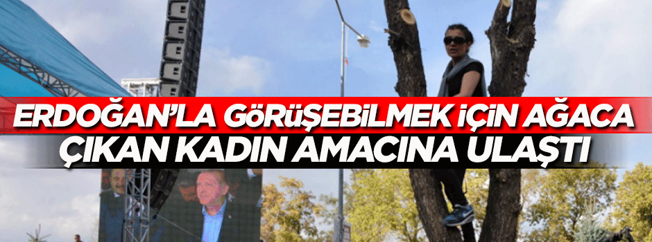 Erdoğan'la görüşebilmek için ağaca çıkan kadın eşine kavuştu